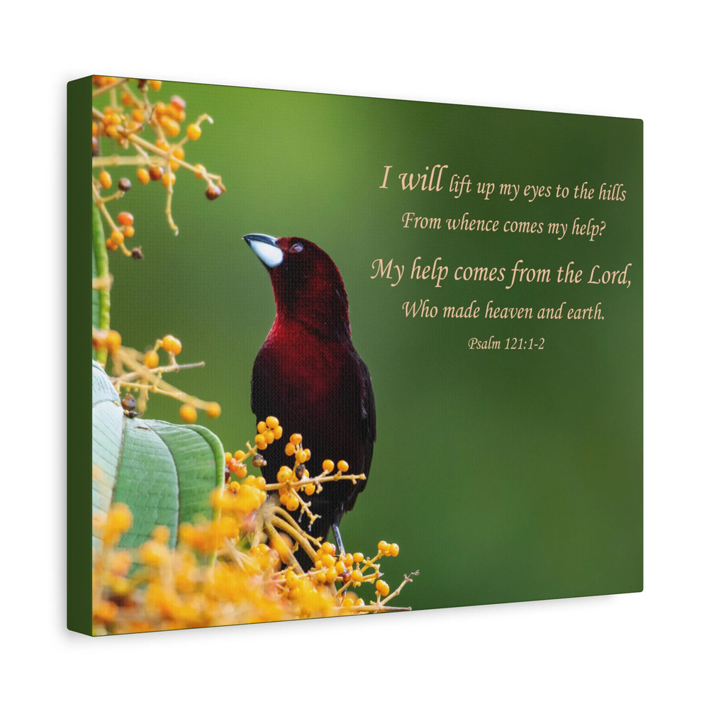 Scripture Canvas Comes From The Lord Psalm 121:1-2 Christian Wall Art Bible